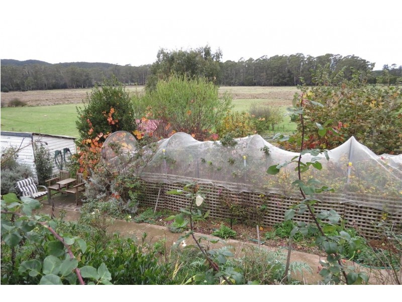 116 High Street, Sheffield TAS 7306