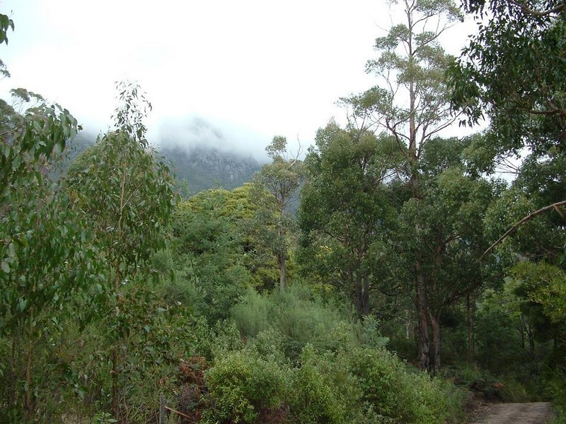 Lot 1 Foleys Road, Sheffield TAS 7306