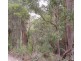 Lot 1 Foleys Road, Sheffield TAS 7306