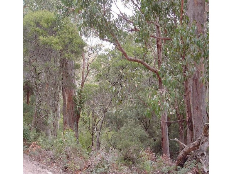 Lot 1 Foleys Road, Sheffield TAS 7306