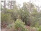 Lot 1 Foleys Road, Sheffield TAS 7306