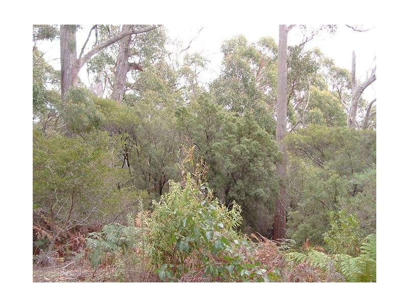 Lot 1 Foleys Road, Sheffield TAS 7306