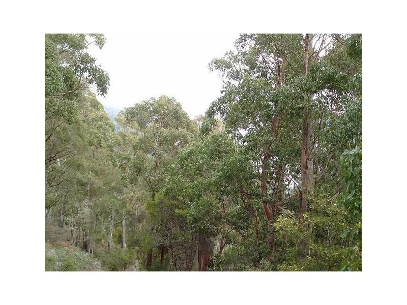 Lot 1 Foleys Road, Sheffield TAS 7306