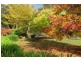 369 Beulah Road, Beulah TAS 7306