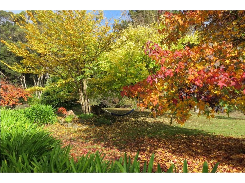 369 Beulah Road, Beulah TAS 7306