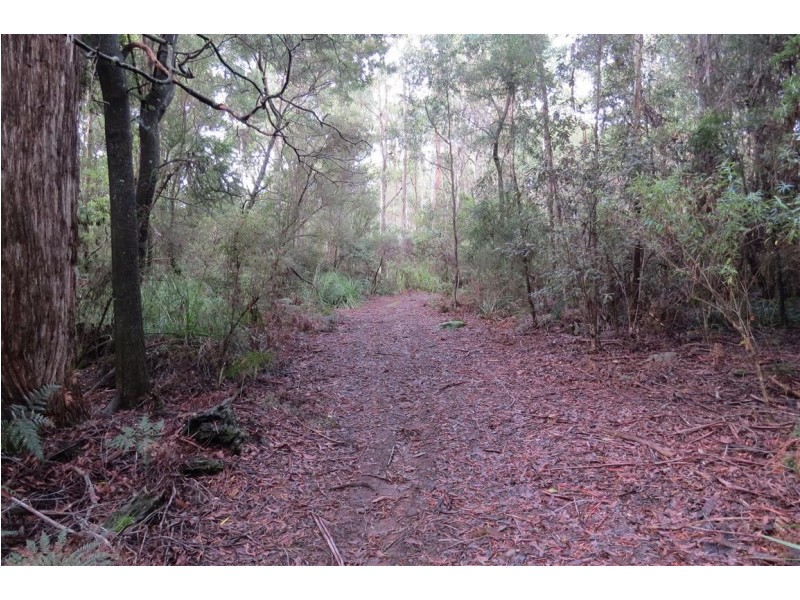 369 Beulah Road, Beulah TAS 7306