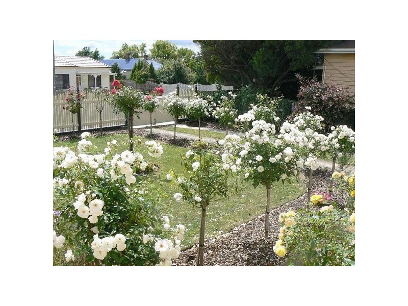 30 High Street, Sheffield TAS 7306