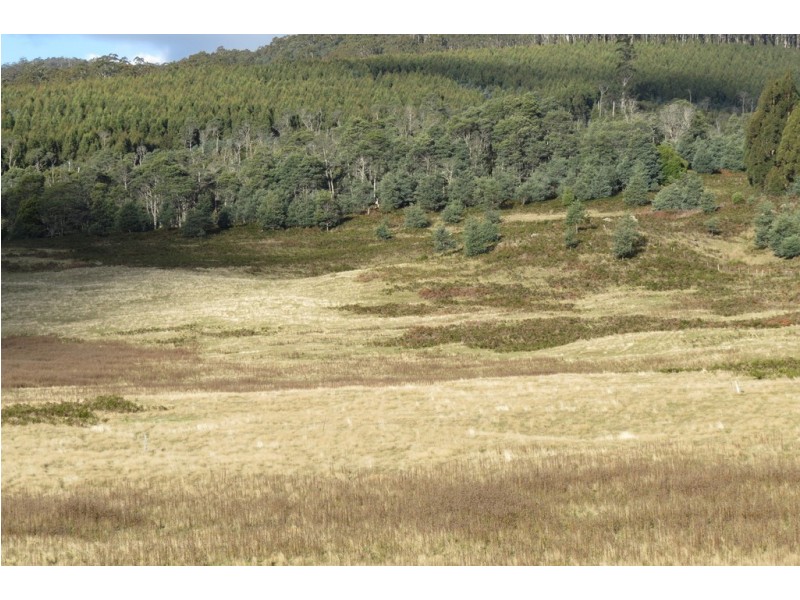 271 Moina Road, Moina TAS 7310