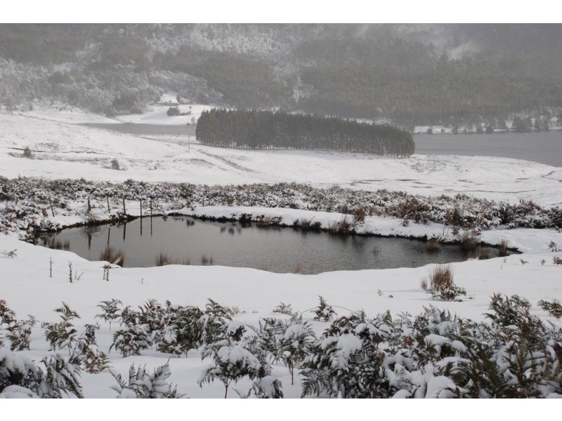 271 Moina Road, Moina TAS 7310