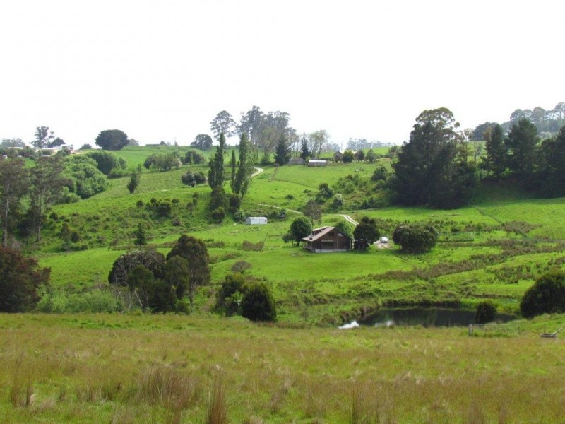 9 Dynans Bridge Road, Weegena TAS 7304
