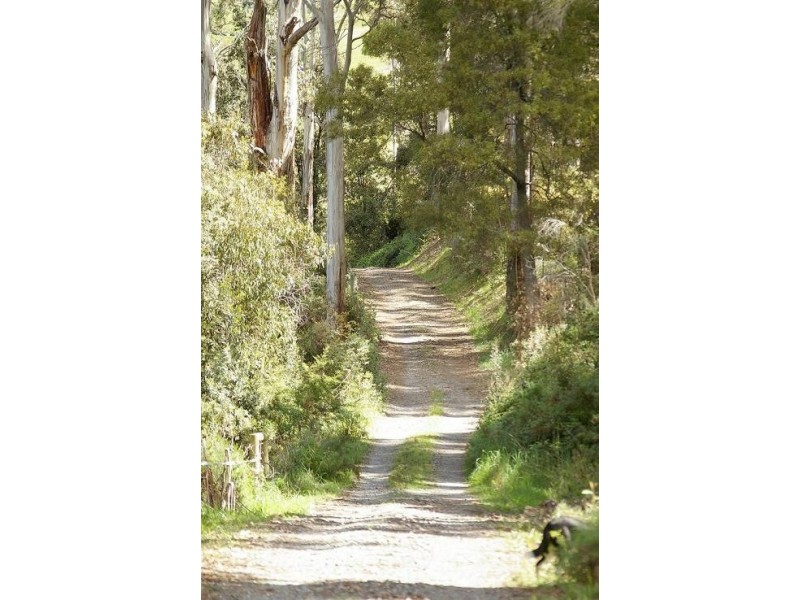 120 New Bed Road, Railton TAS 7305