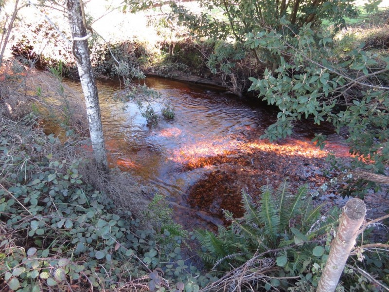 Lot 1 Kookaburra Rock Road, Claude Road TAS 7306