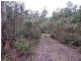 250 Lonely Hollow Road, Lower Beulah TAS 7306