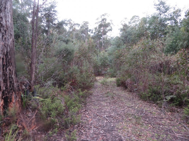 250 Lonely Hollow Road, Lower Beulah TAS 7306