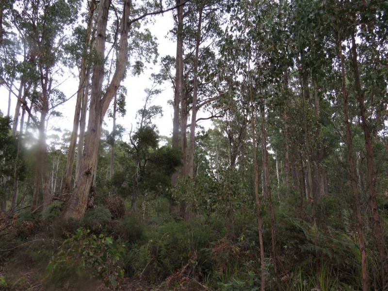 250 Lonely Hollow Road, Lower Beulah TAS 7306