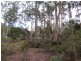 250 Lonely Hollow Road, Lower Beulah TAS 7306