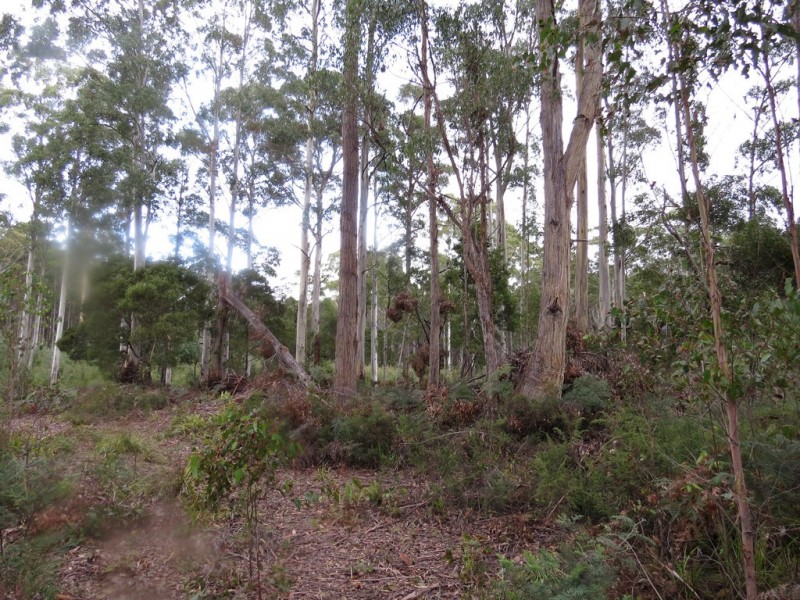 250 Lonely Hollow Road, Lower Beulah TAS 7306