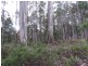 250 Lonely Hollow Road, Lower Beulah TAS 7306