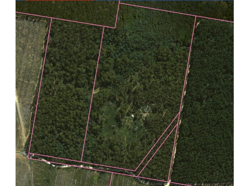 250 Lonely Hollow Road, Lower Beulah TAS 7306