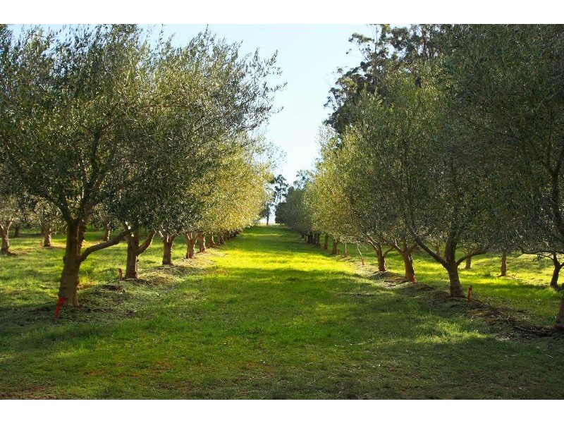 840 Sheffield Road, Lower Barrington TAS 7306