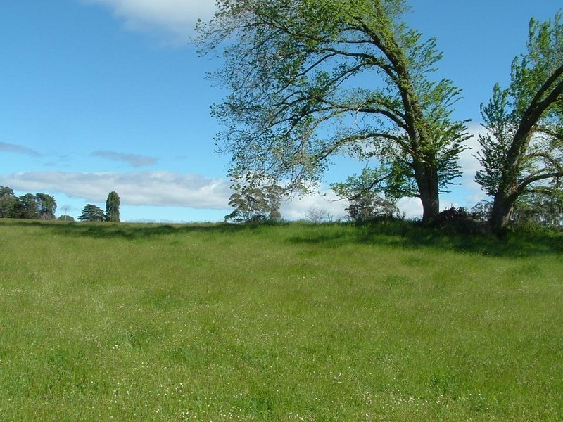 0 Kermode Street, Sheffield TAS 7306