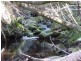 Lot 1 Sheffield Road, Sheffield TAS 7306
