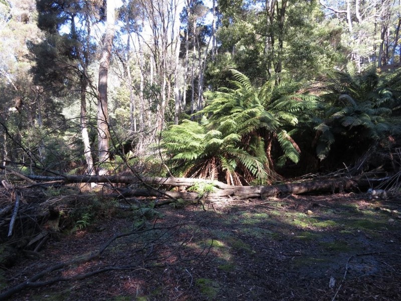 Lot 1 Sheffield Road, Sheffield TAS 7306