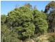 Lot 1 Sheffield Road, Sheffield TAS 7306