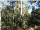 Lot 1 Sheffield Road, Sheffield TAS 7306