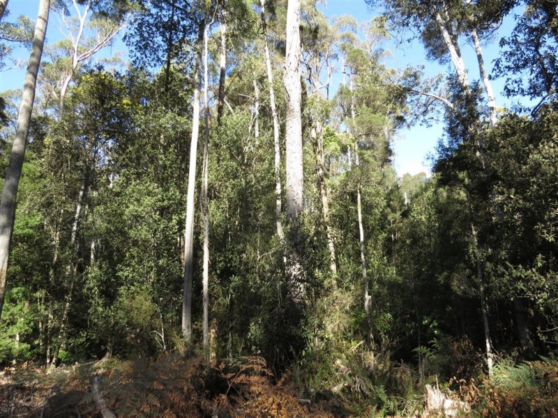 Lot 1 Sheffield Road, Sheffield TAS 7306