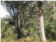 Lot 1 Sheffield Road, Sheffield TAS 7306
