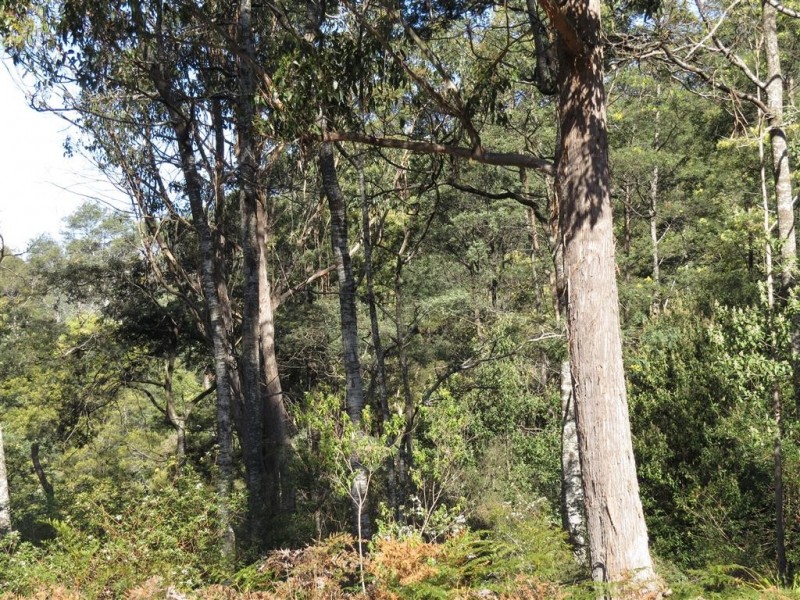 Lot 1 Sheffield Road, Sheffield TAS 7306