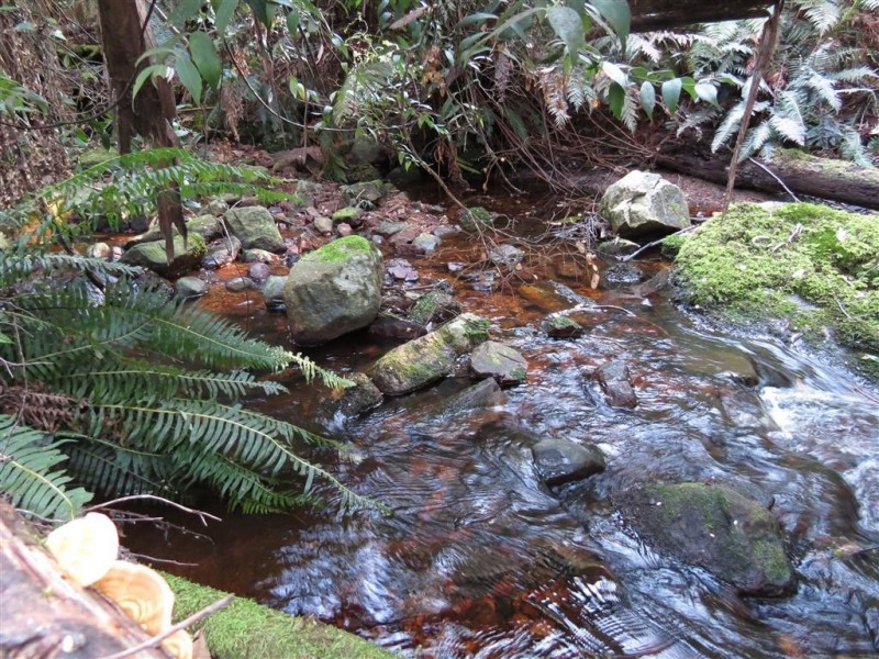 Lot 1 Sheffield Road, Sheffield TAS 7306