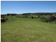 8 Landon Place, Sheffield TAS 7306