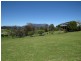 8 Landon Place, Sheffield TAS 7306