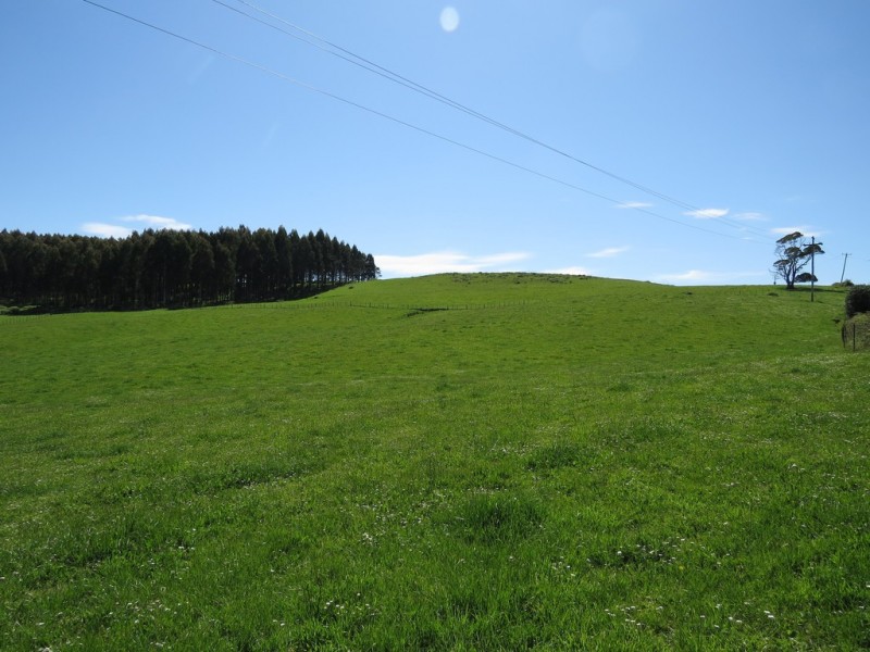 2622 Wilmot Road, Wilmot TAS 7310