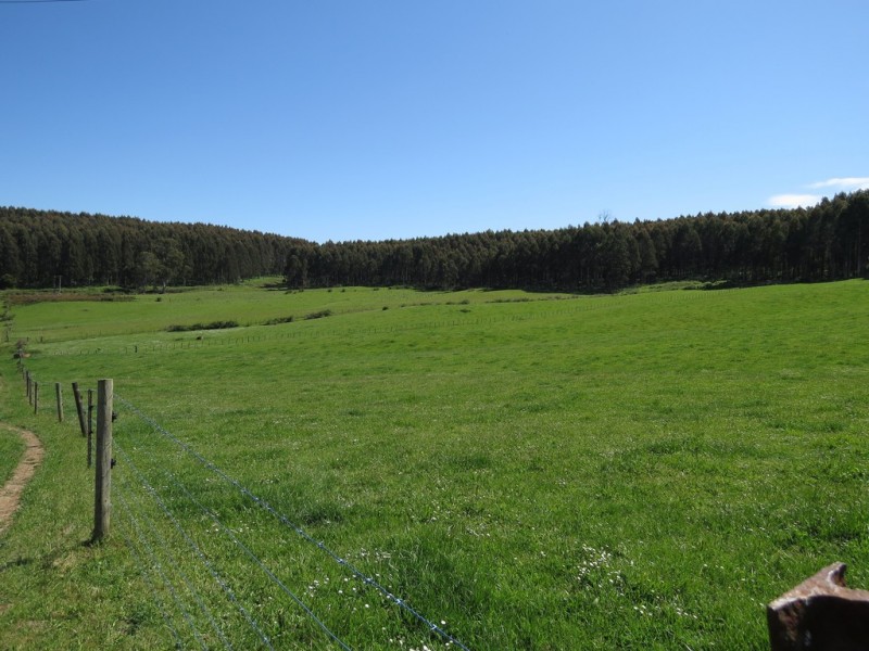 2622 Wilmot Road, Wilmot TAS 7310