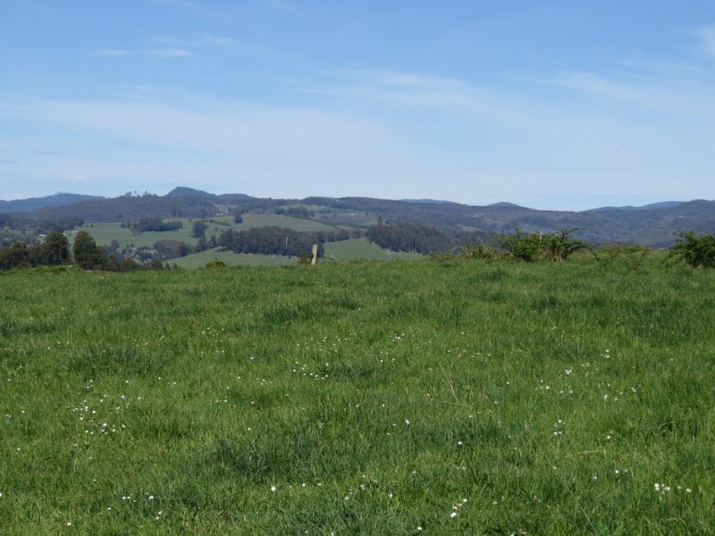 2622 Wilmot Road, Wilmot TAS 7310