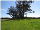 Lot 1 Staverton Road, Roland TAS 7306