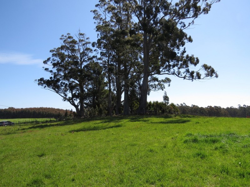 Lot 1 Staverton Road, Roland TAS 7306