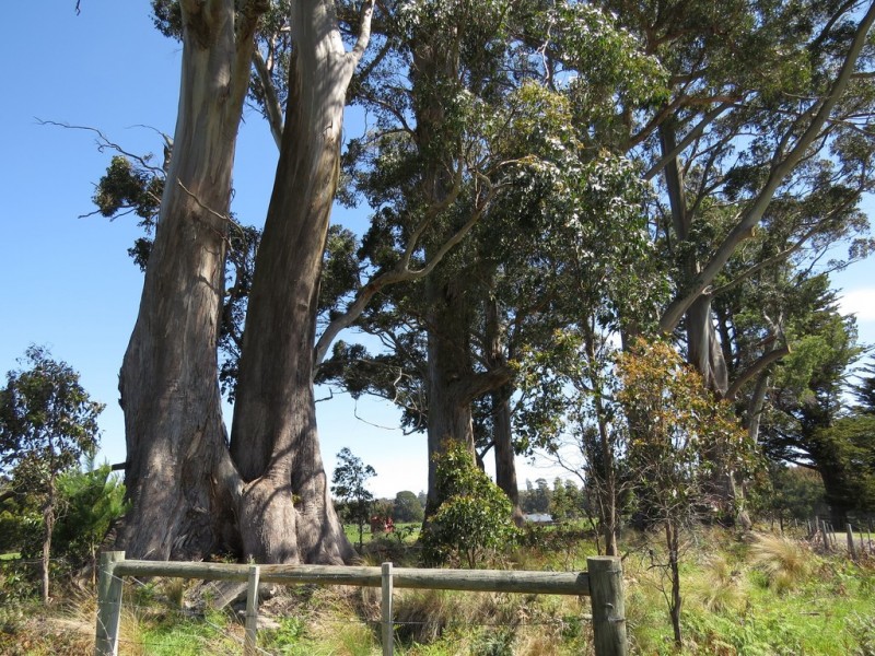 Lot 1 Staverton Road, Roland TAS 7306
