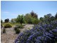 5921 Frankford Road, Wesley Vale TAS 7307