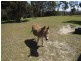 5921 Frankford Road, Wesley Vale TAS 7307