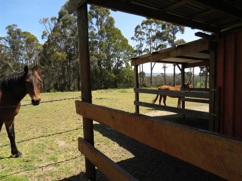 5921 Frankford Road, Wesley Vale TAS 7307