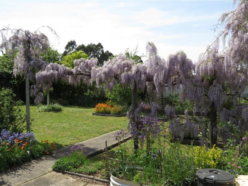 56 Roland Court, Sheffield TAS 7306