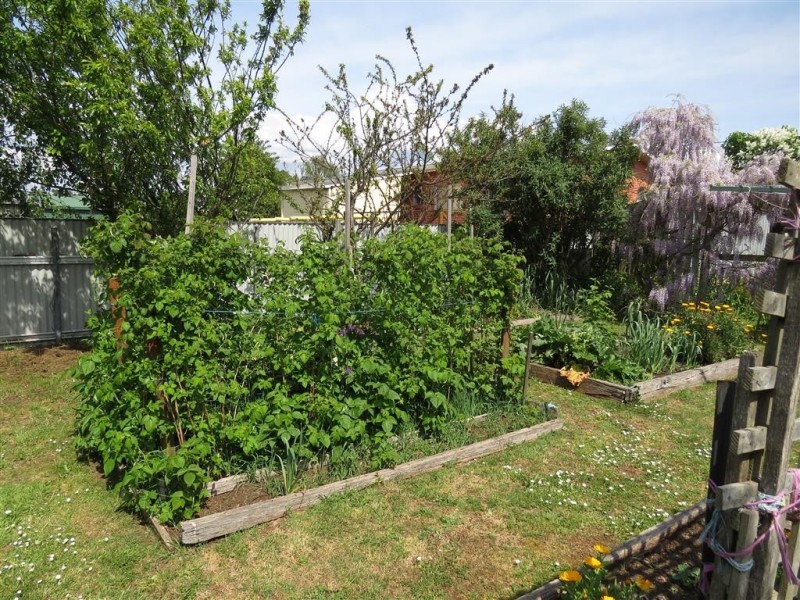 56 Roland Court, Sheffield TAS 7306