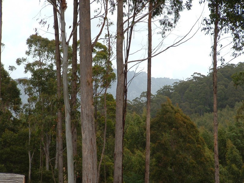 Lot 2 Dawkins Road, Lower Beulah TAS 7306