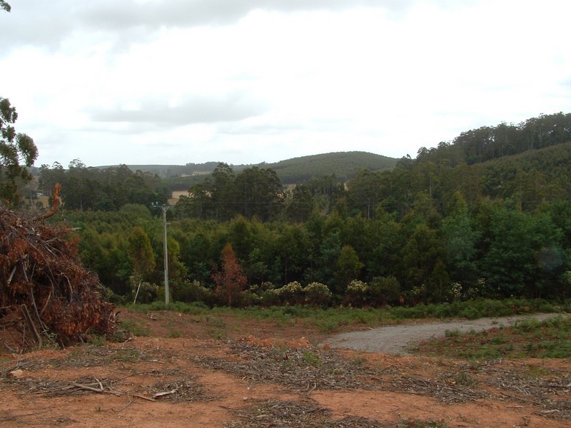 Lot 2 Dawkins Road, Lower Beulah TAS 7306