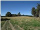 280 Native Rock Road, Railton TAS 7305