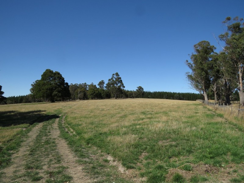 280 Native Rock Road, Railton TAS 7305
